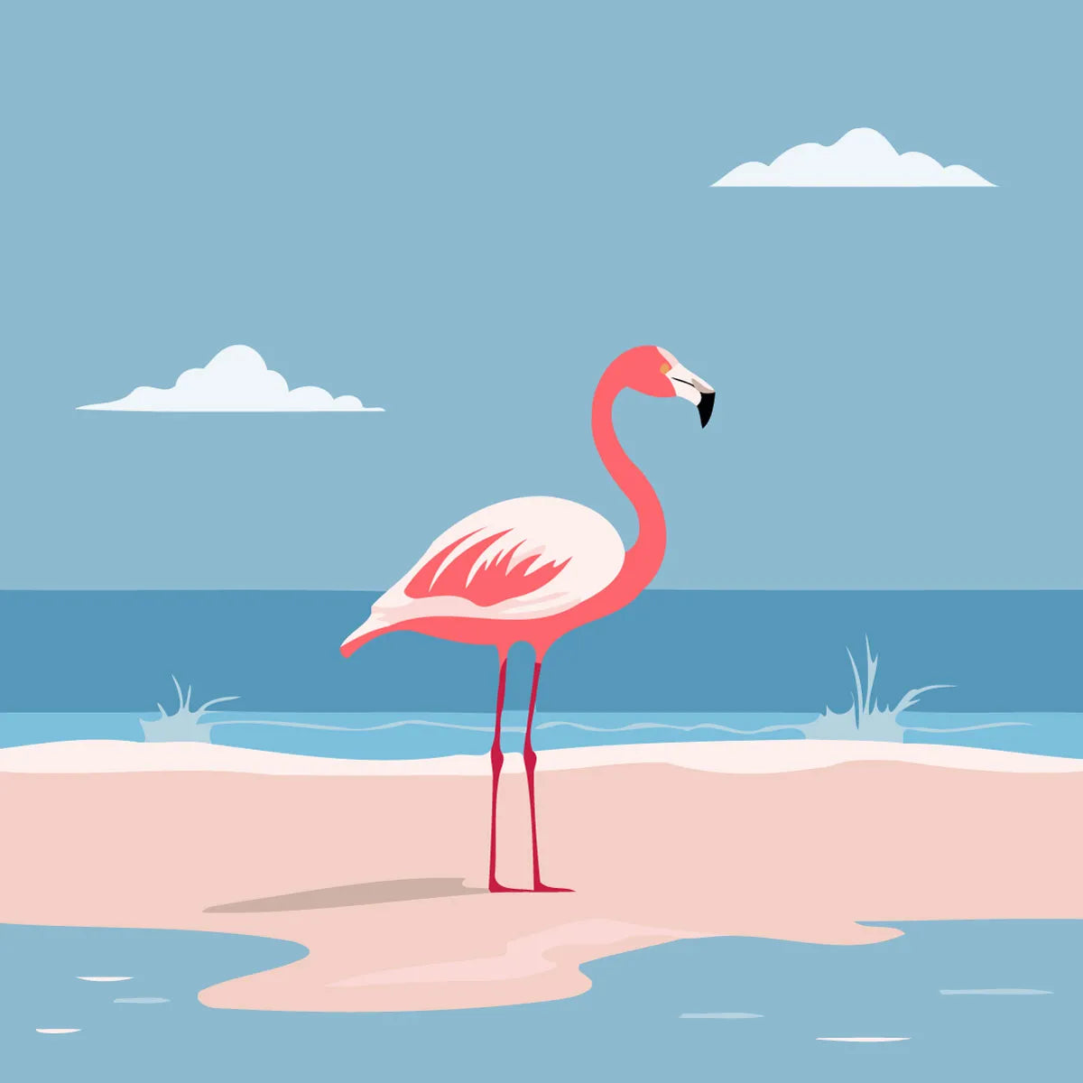 Flamant Rose